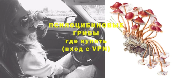 СК Абинск