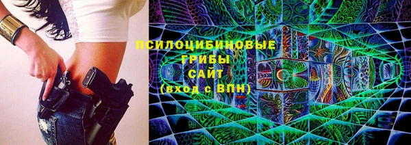 дживик Абаза