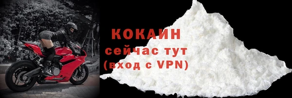 дживик Абаза