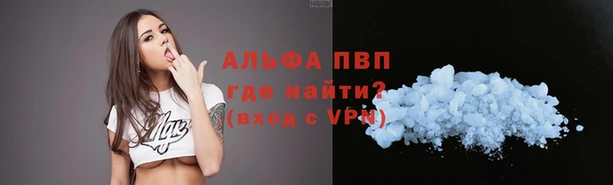дживик Абаза