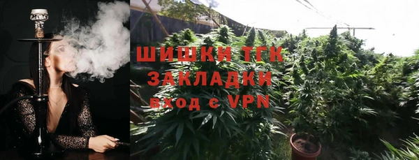 дживик Абаза