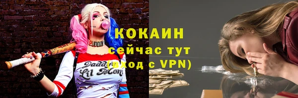 СК Абинск